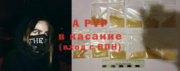 спайс Гусев